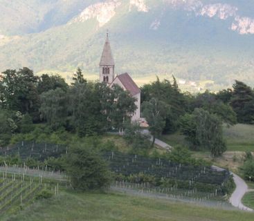 Idyllische Stille: Eine historische Kapelle eingebettet in die sanften Weinberge Südtirols. Eine kleine Kirche mit spitzem Glockenturm steht inmitten von Bäumen auf einem Hügel über einem Weingebiet, im Hintergrund erstrecken sich Berge.