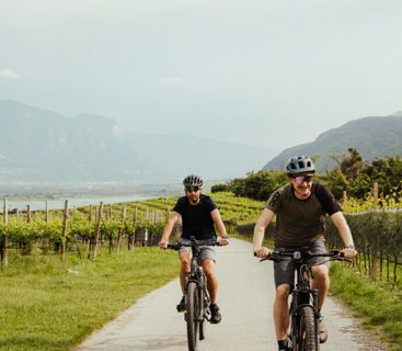 Aktives Abenteuer in der Natur: Zwei Biker genießen die Fahrt durch die Weinberge vor atemberaubender Bergkulisse. Zwei Radfahrer auf Mountainbikes fahren auf einem asphaltierten Weg zwischen Weinreben mit Bergen im Hintergrund.
