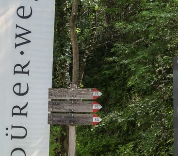Wegweiser am Dürerweg: Orientierungshilfe für Wanderer inmitten der Natur. Ein hölzerner Wegweiser mit Routenbezeichnungen vor einem hohen, weißen Banner mit der Aufschrift Dürerweg, rechts daneben steht eine schwarze Informationstafel vor einer Waldkulisse.