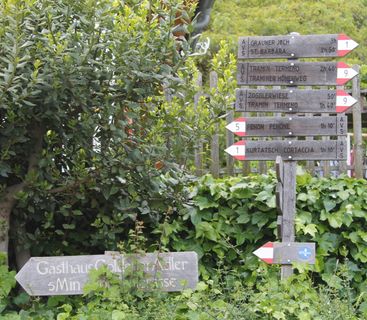 Wegweiser in die Südtiroler Bergwelt – Orientierung für Wanderer. Ein hölzernes Wegweiser-Schild mit mehreren Richtungsangaben zu Südtiroler Wanderzielen steht neben einem grünen Strauch und einem Holzzaun.