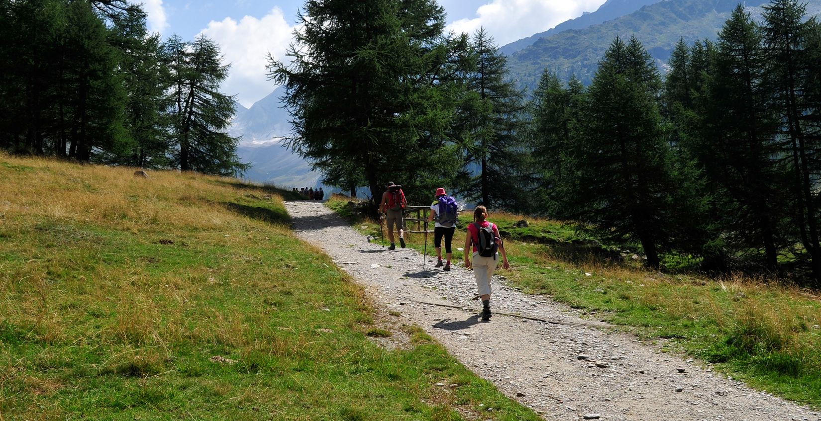 Hiking in the South Tyrolean Unterland