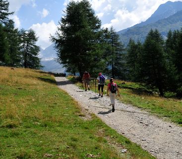 Hiking South Tyrolean Unterland