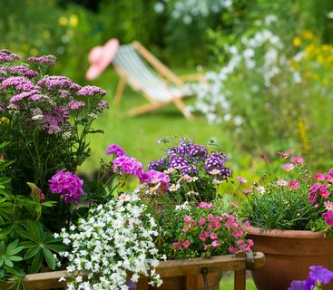 Flowers garden Hotel Winzerhof