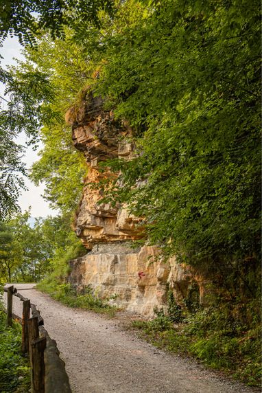 Waldpfad zwischen üppigem Blätterdach und verwitterten Sandsteinfelsen Ein schmaler Kiesweg führt durch einen grünen Wald an einer markanten Felswand entlang.