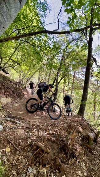 Drei Mountainbiker fahren nacheinander auf einem schmalen, erdigen Waldpfad eine leichte Kurve hinunter.