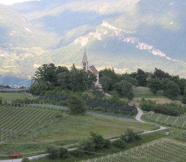 Ein friedlicher Rückzugsort inmitten von Südtiroler Weinreben und majestätischen Gipfeln. Eine idyllische Berglandschaft mit einer kleinen Kirche inmitten von Weinbergen und Bäumen vor einer großen Bergkette.