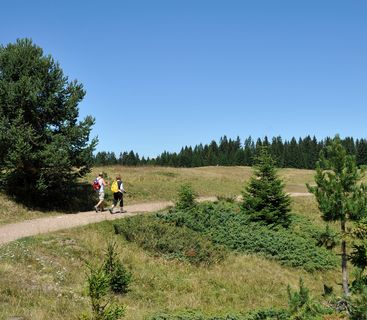 Hiking South Tyrol