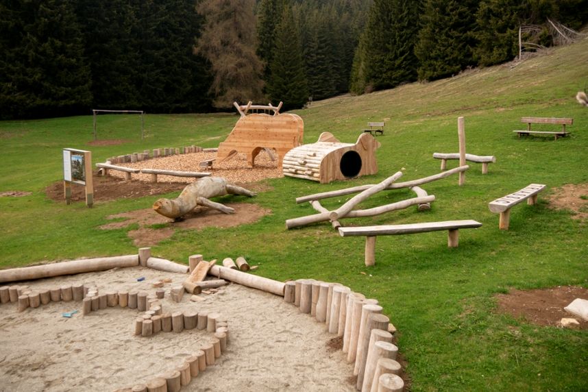Abenteuerlicher Waldspielplatz aus Holz – Spielspaß zwischen Wiese und Tannen Naturnaher Holzspielplatz auf einer grünen Wiese am Waldrand mit Sandbereich, Kletterelementen, Balancierbalken und Bänken.