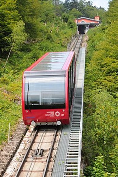 Mit der roten Bahn steil bergauf durch die sommerliche Natur. Eine rote Standseilbahn fährt auf steilen Schienen durch einen grünen Wald auf eine Station zu.
