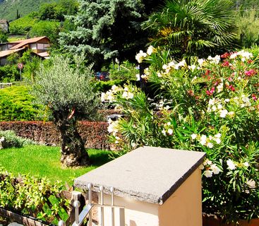 Varietá di piante giardino hotel Termeno