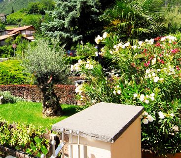 Variety garden hotel in Tramin